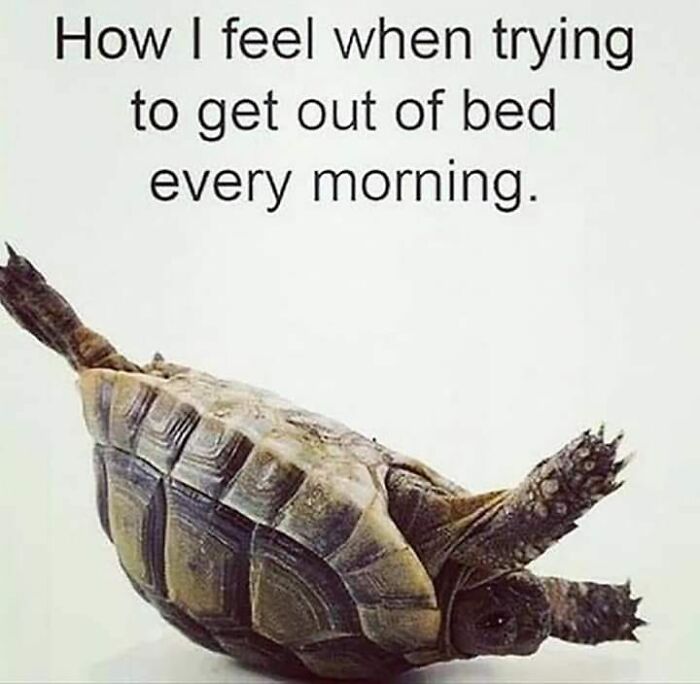 Facebook-Group-Shares-Funny-Pics-Memes