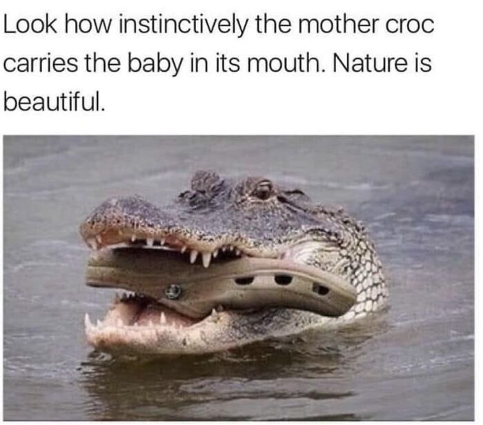 Facebook-Group-Shares-Funny-Pics-Memes