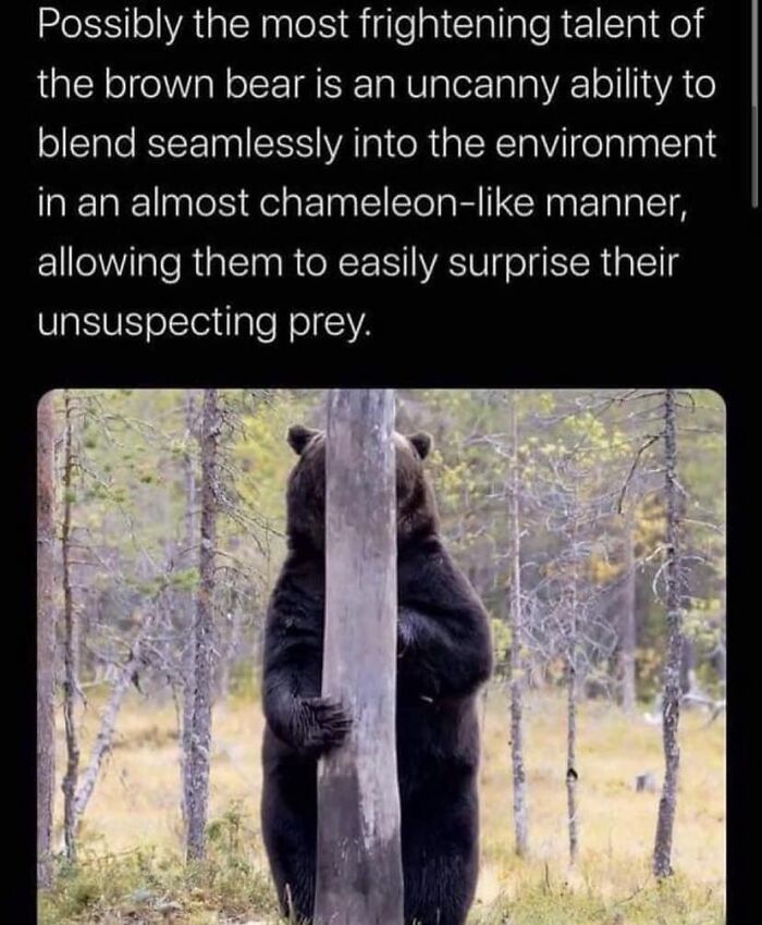 Facebook-Group-Shares-Funny-Pics-Memes