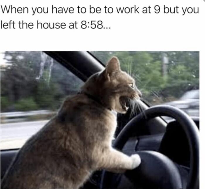 Facebook-Group-Shares-Funny-Pics-Memes