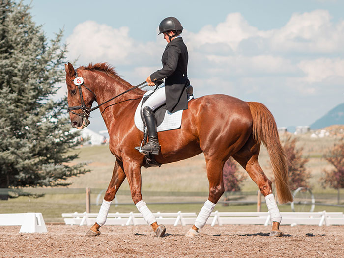 Woman riding a horse