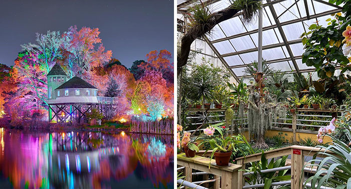 Vibrant famous gardens illuminated at night with colorful lights and lush greenery inside a glass greenhouse.