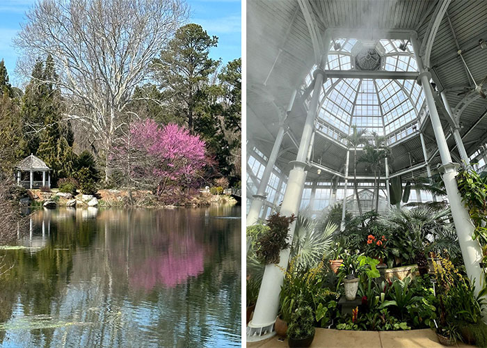 Tranquil famous garden with a reflective pond and vibrant greenhouse filled with tropical plants under glass ceiling.