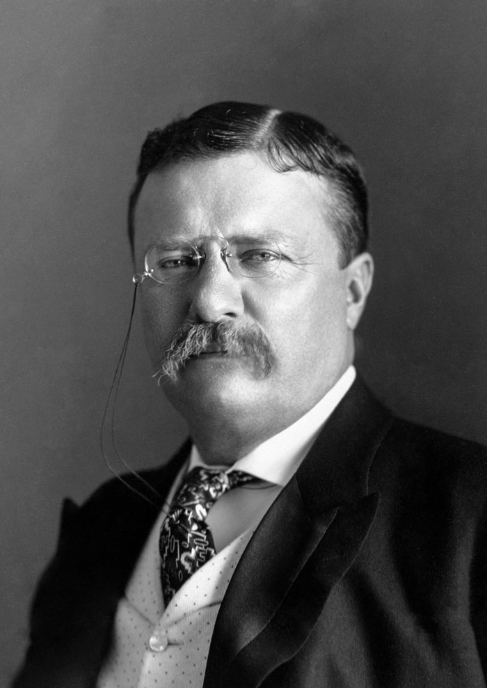 Picture of Theodore Roosevelt