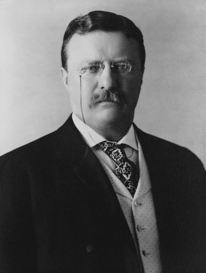 Picture of Theodore Roosevelt