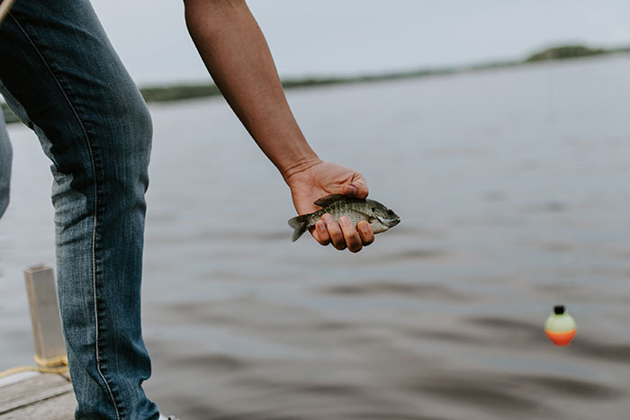 Person engaging in fishing, holding a small fish by a lake, illustrating fun hobbies to try.