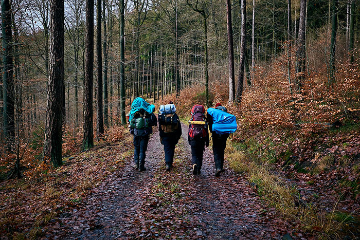 People with backpacks walking on a forest trail in autumn, surrounded by trees and fallen leaves; a fun hobby to pursue.