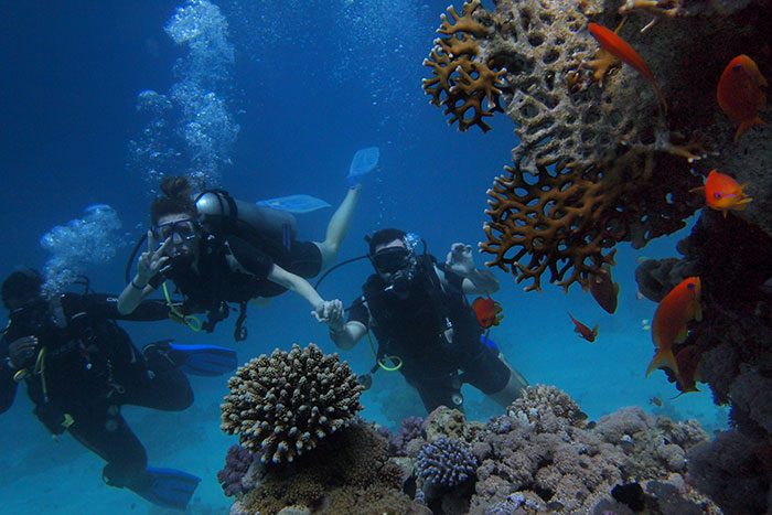 Three people diving among coral and fish, enjoying an adventurous hobby underwater.