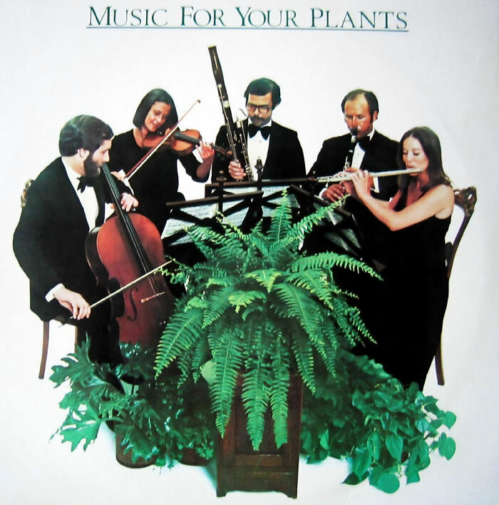 Wow! I Bet This Bad Boy Smashed The Album Chart A New Ar*e Hole When It Was Released