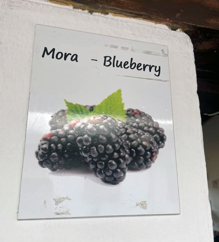 Ecuador Ice Cream Shop