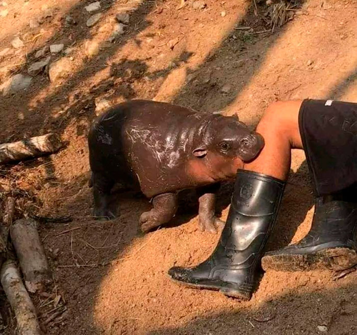 Funny-Important-Images