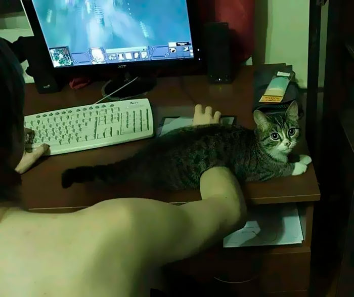 Funny-Important-Images