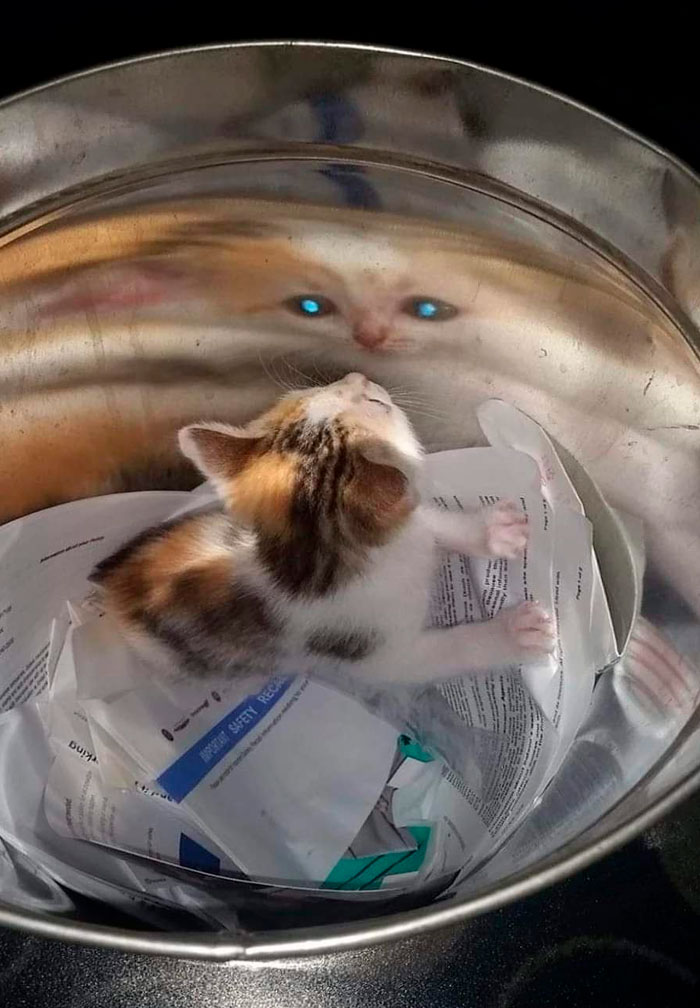 Funny-Important-Images