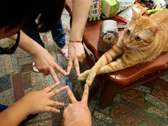 Funny-Important-Images