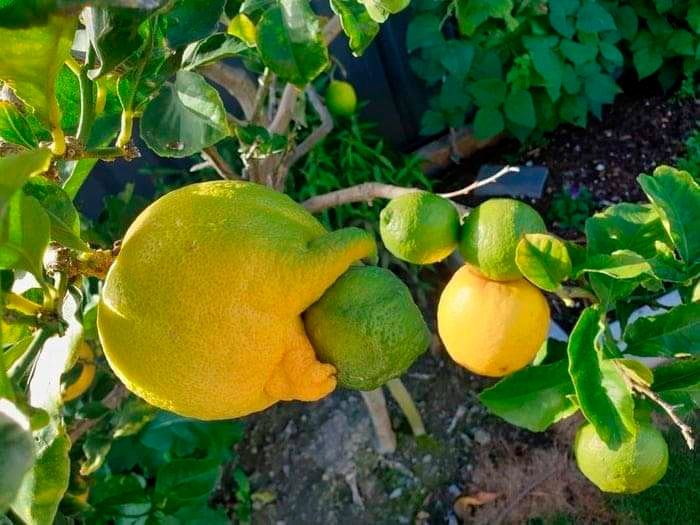 Funny-Important-Images