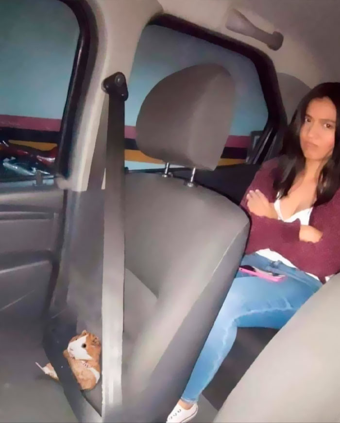 Funny-Important-Images