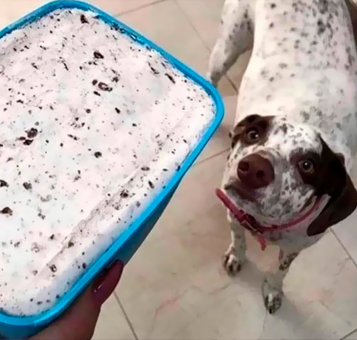 Funny-Important-Images