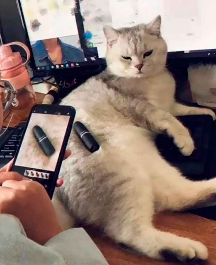 Funny-Important-Images