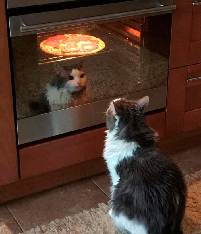 Funny-Important-Images