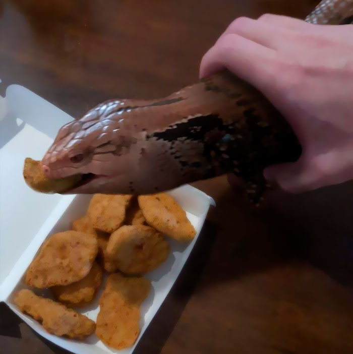 Funny-Important-Images