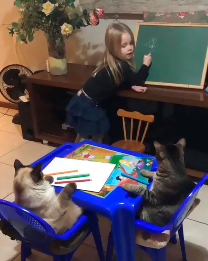 Funny-Important-Images