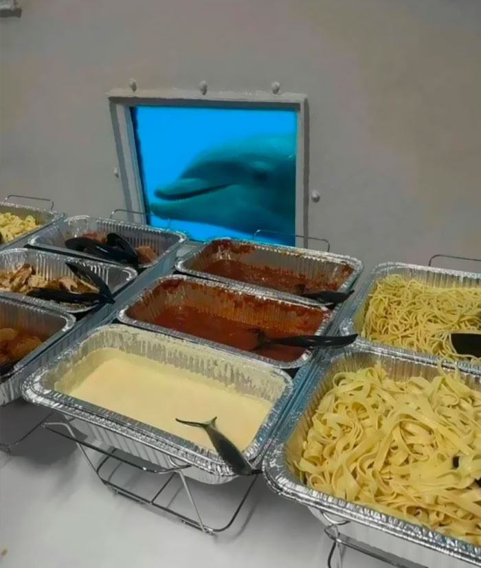 Funny-Important-Images