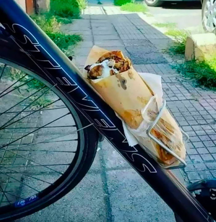 Funny-Important-Images