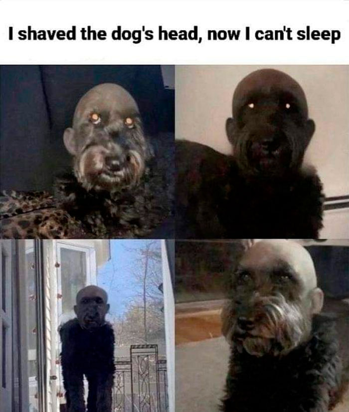 Funny-Important-Images