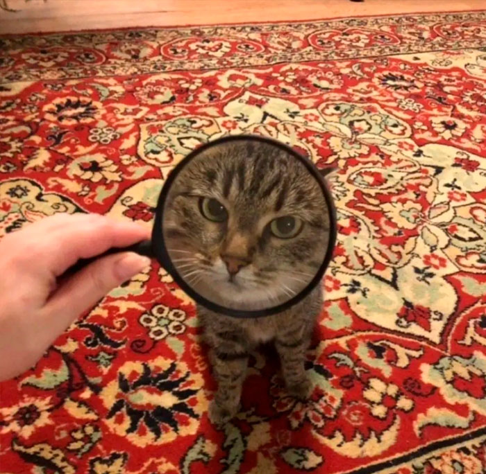 Funny-Important-Images