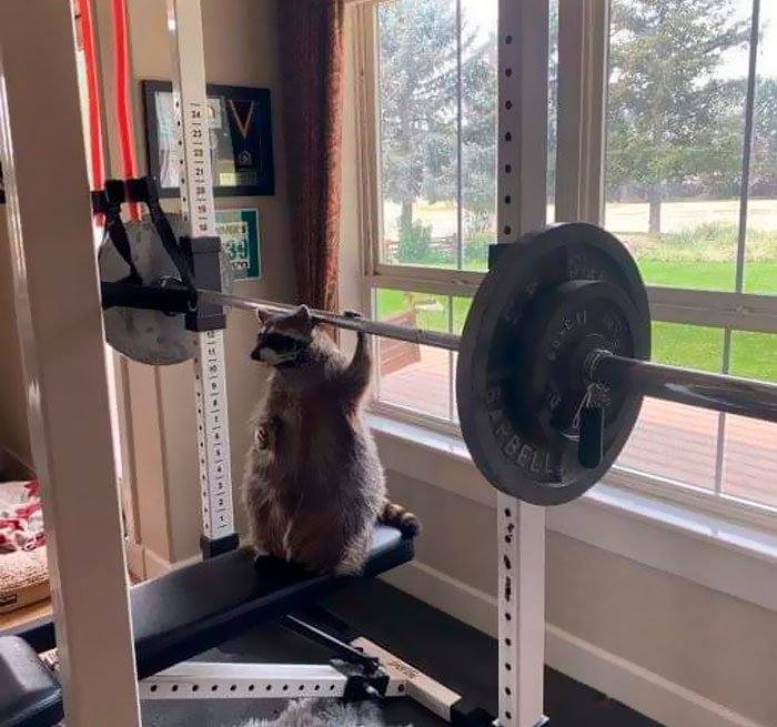 Funny-Important-Images