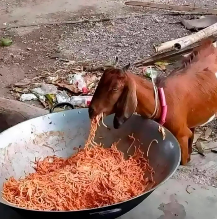 Funny-Important-Images