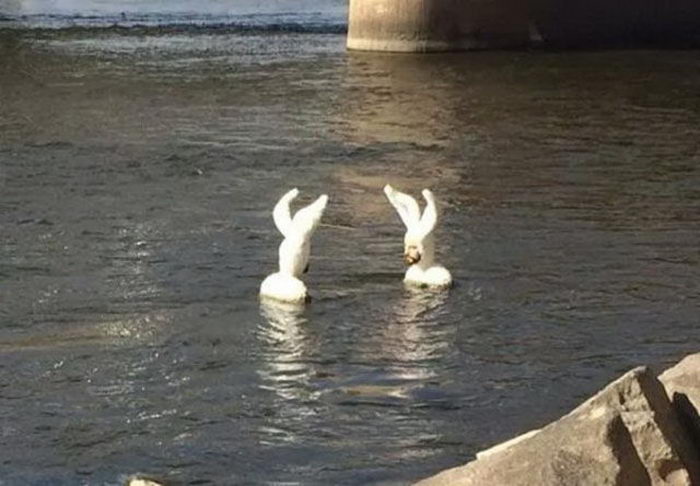 Funny-Low-Quality-Stories