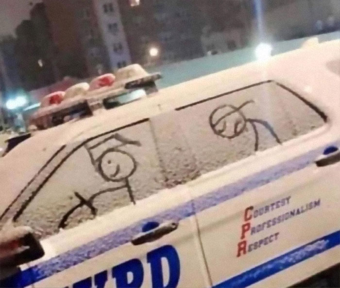 Funny-Low-Quality-Stories