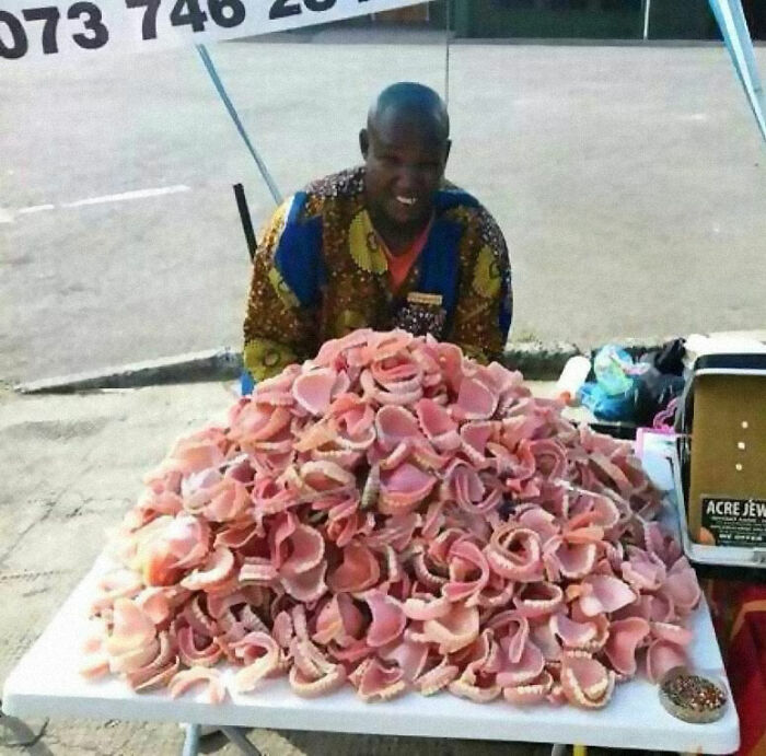 Funny-Low-Quality-Stories