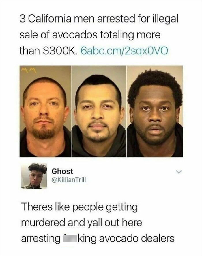 Funny-Low-Quality-Stories