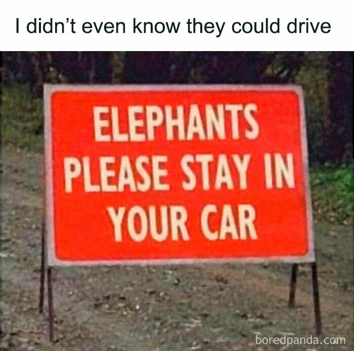 Funny-Low-Quality-Stories