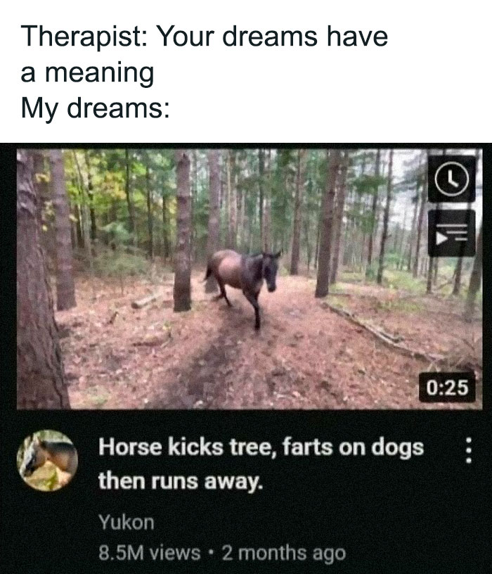 Funny-Low-Quality-Stories