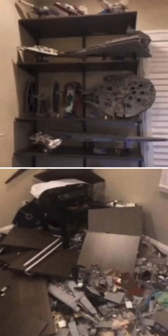 Funny-Low-Quality-Stories