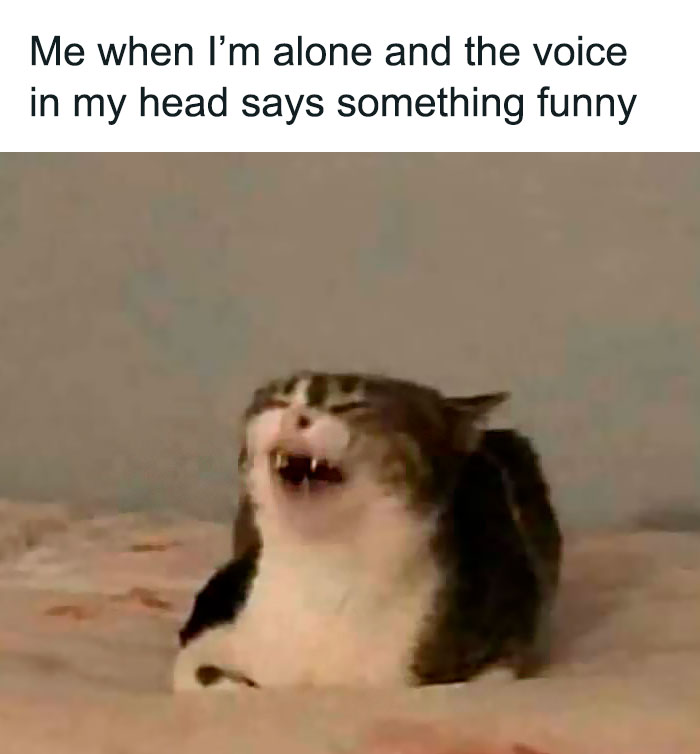 Funny-Messy-Women-Memes