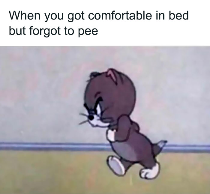 Funny-Messy-Women-Memes