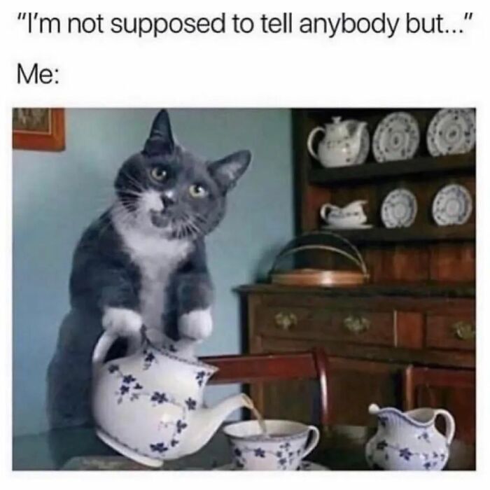 Funny-Messy-Women-Memes