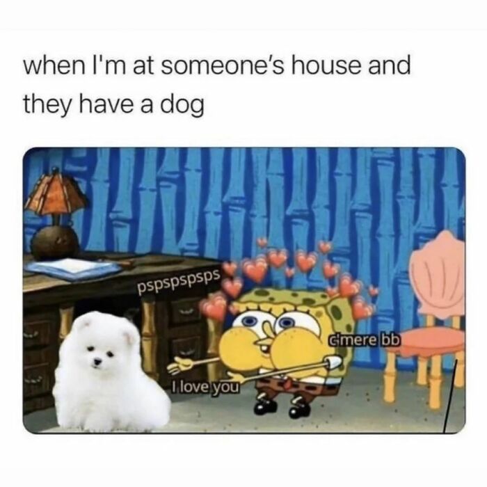 Funny-Messy-Women-Memes