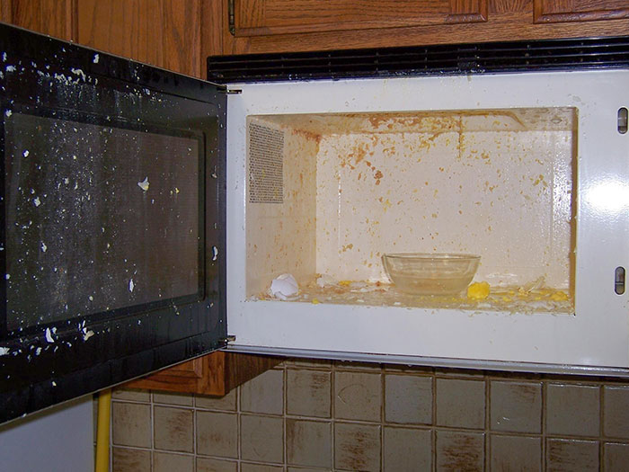 Boil An Egg In The Microwave, They Said... It Will Be Fine, They Said