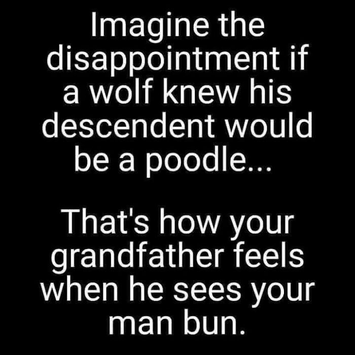 Funny-Ok-Boomer-Posts