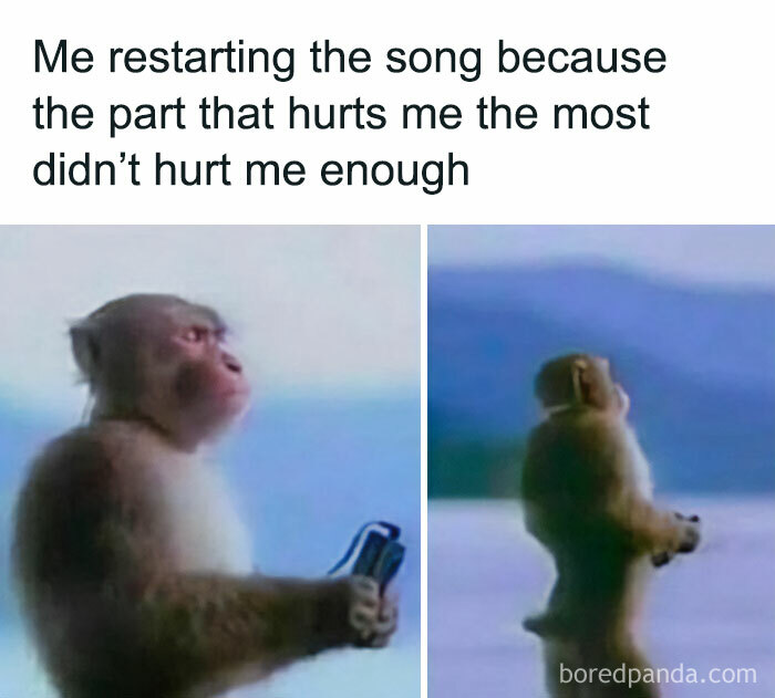 Monkey holding a remote with a funny caption, capturing the essence of spicy memes humor.