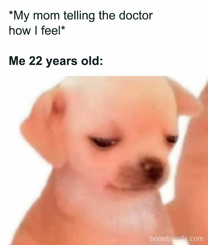 Funny-Spiciest-Memes