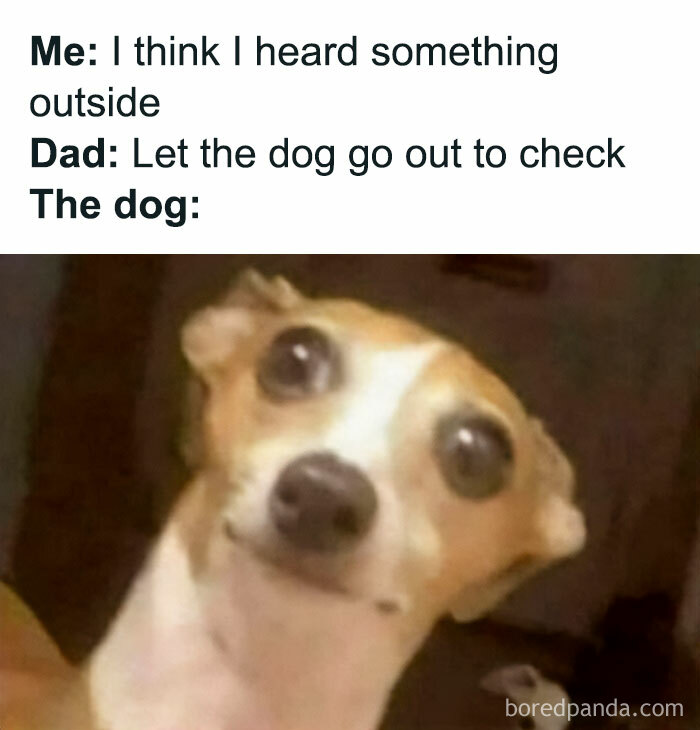 A surprised dog meme with wide eyes reacting to a parent's suggestion to check outside, adding a spicy touch to the humor.