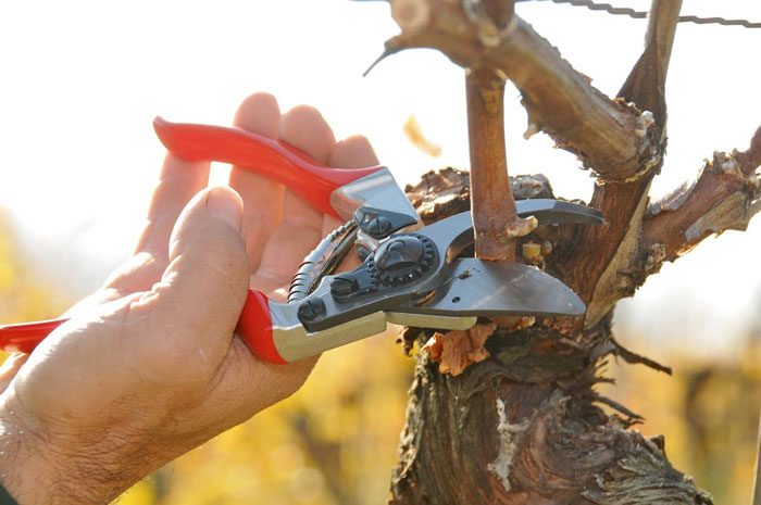 Felco F2 Classic Bypass Hand Pruner