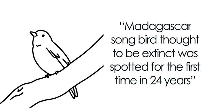 “Good News Of The Week”: I Illustrate Good Things That Happened Recently (30 Pics)