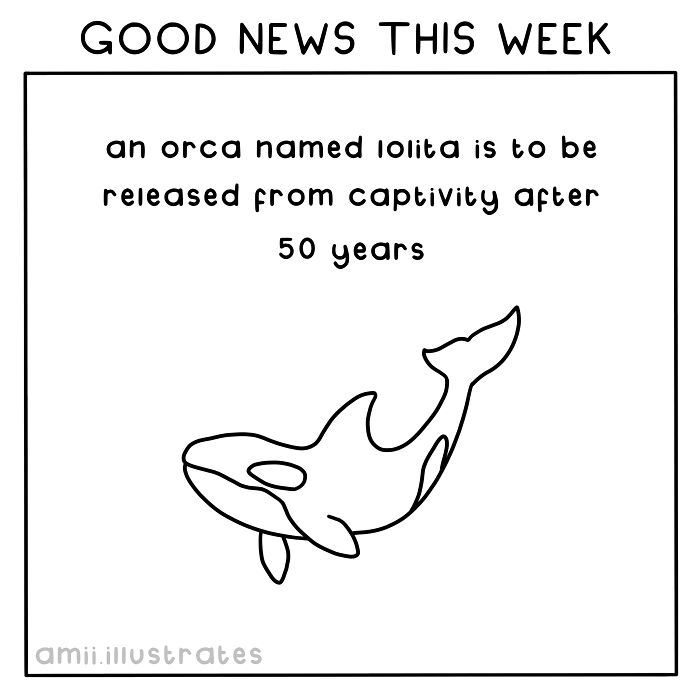 Illustration of an orca being released after 50 years in captivity, highlighting good news of the week.